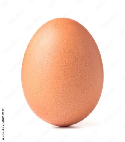Egg 1 Dozen